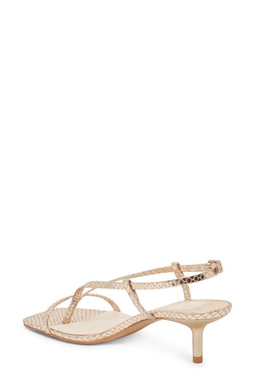 Dolce Vita Women's Laury Strappy Kitten-heel Dress Sandals In Champagne