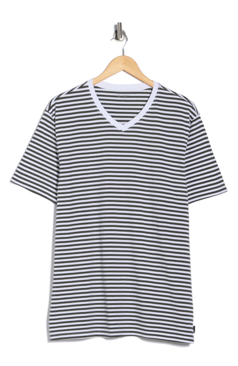 AG Bryce V-Neck Cotton T-Shirt, Main, color, True White/Ash Green