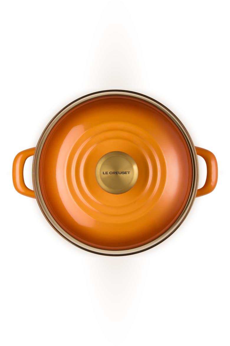 The Traditional Enameled Stainless Steel Petite Stockpot, Alternate, color, PERSIMMON