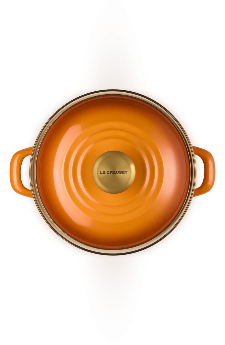 Le Creuset The Traditional Enameled Stainless Steel Petite Stockpot, Alternate, color, Persimmon