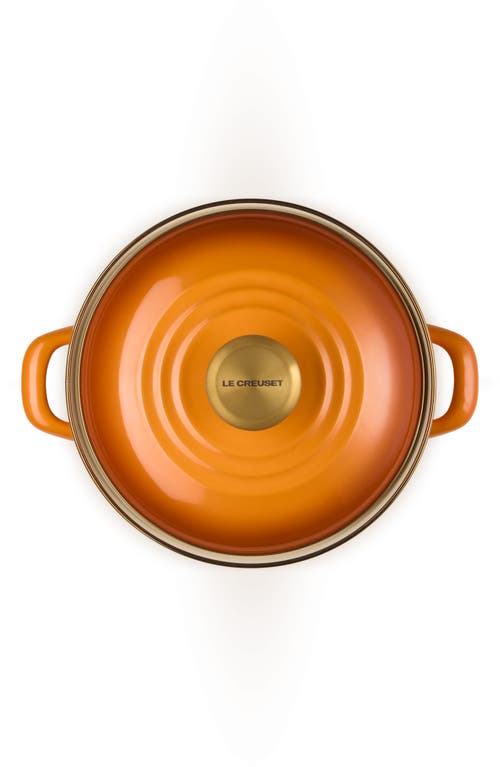 Le Creuset The Traditional Enameled Stainless Steel Petite Stockpot In Brown