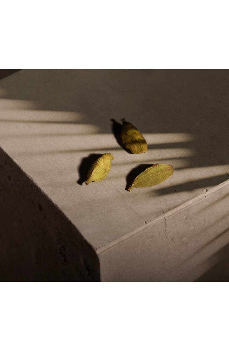 EX NIHILO Chandigarh Express Eau de Parfum, Alternate, color,