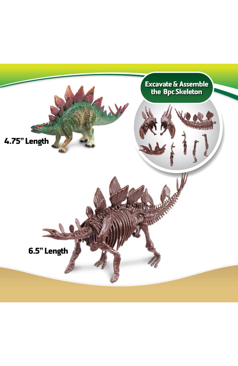 WowWorld Dino Dig Stegosaurus Skeleton Excavation Kit, Ages 6+, Alternate, color, Multicolored