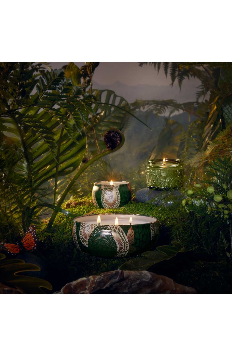 Voluspa Temple Moss 3-Wick Tin Candle, Alternate, color, Temple Moss