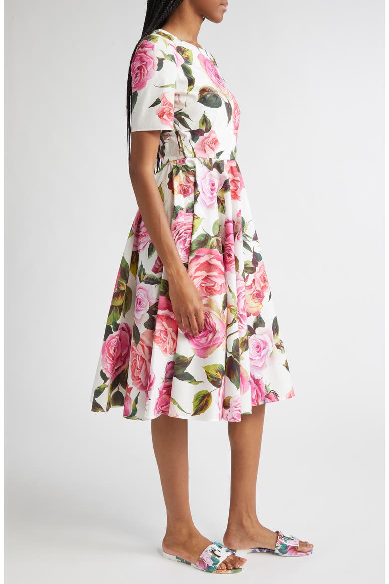 Rose Print Cotton Fit & Flare Dress, Alternate, color, ROSE ROSA FLORAL.BIANCO