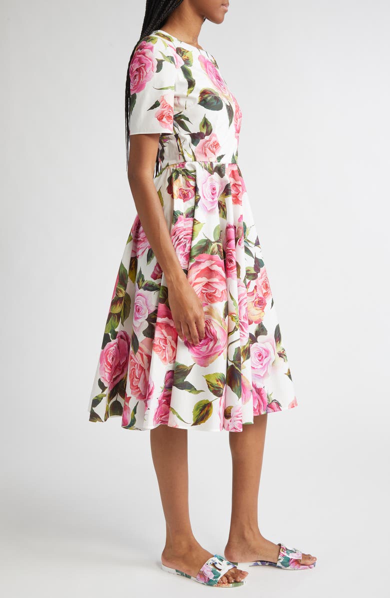 Dolce&Gabbana Rose Print Cotton Fit & Flare Dress, Alternate, color, Rose Rosa Floral.bianco