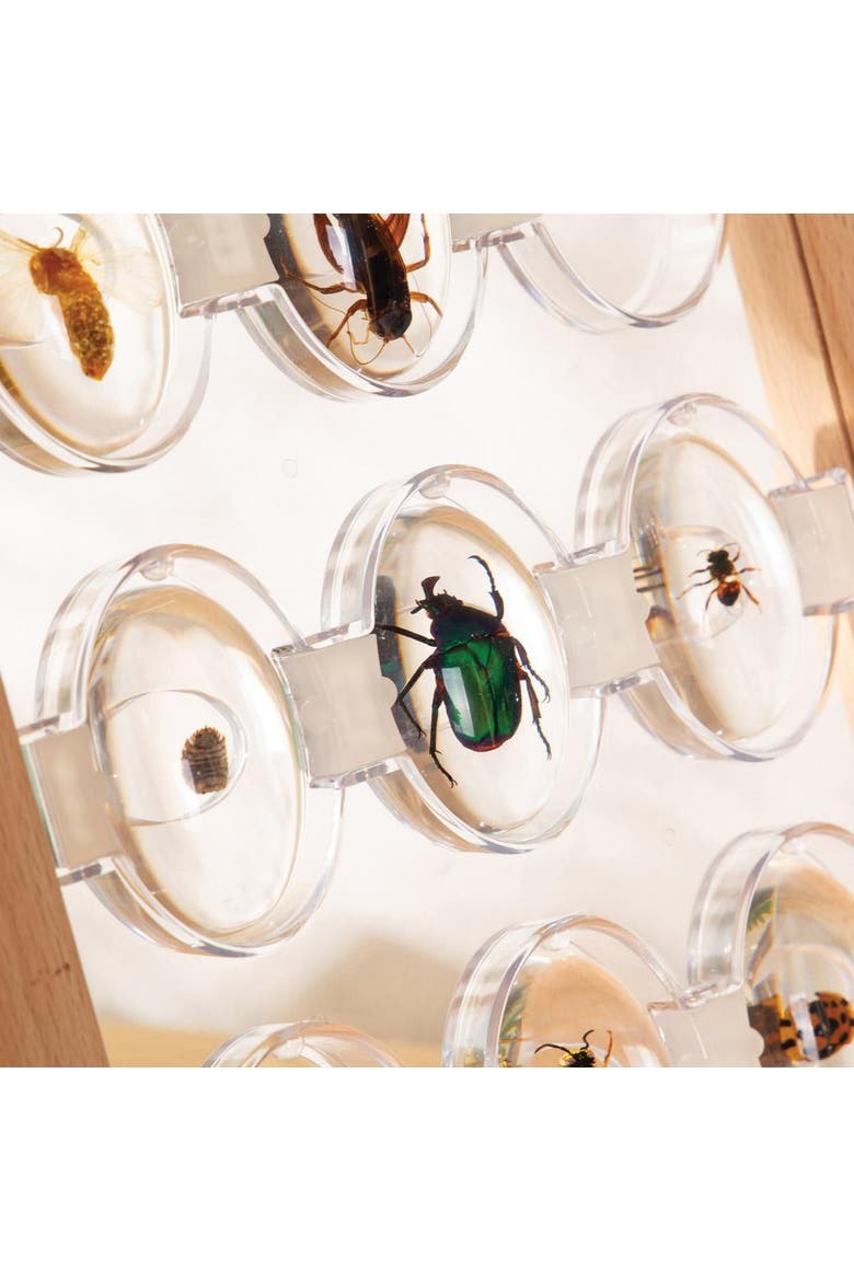 Specimen Stones Bugs - 9 Pieces, Alternate, color, Clear