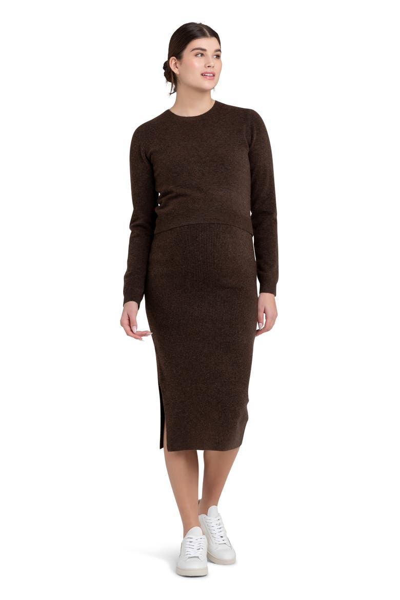 Dani Rib Stitch Maternity Skirt, Alternate, color, CHOCOLATE