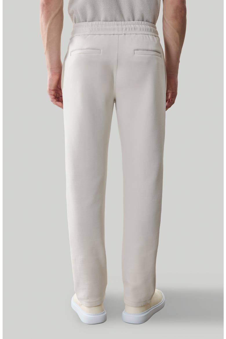 Kenji Pintuck Drawstring Pants, Alternate, color, SWAN