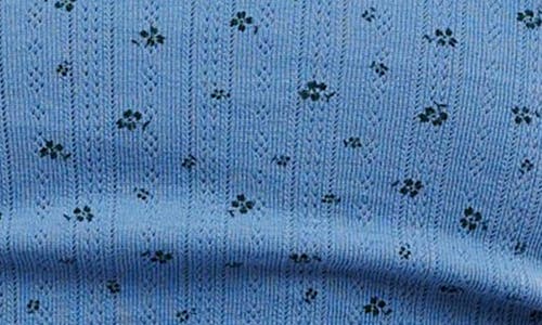 Free People Fresh In Blue