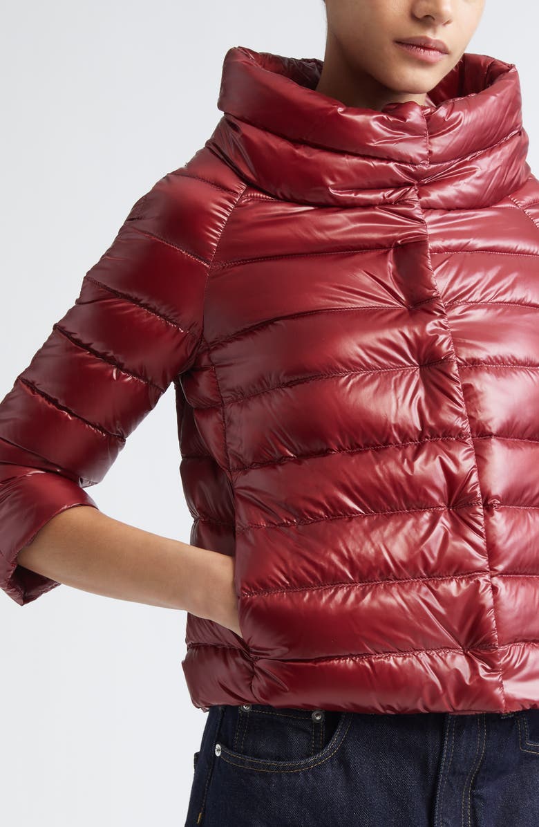 Herno Sofia Iconic Down Crop Puffer Jacket, Alternate, color, Burgandy