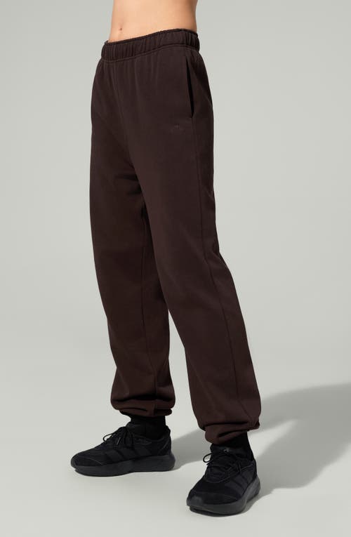 Lilysilk Porchlight Softstep Joggers In Brown