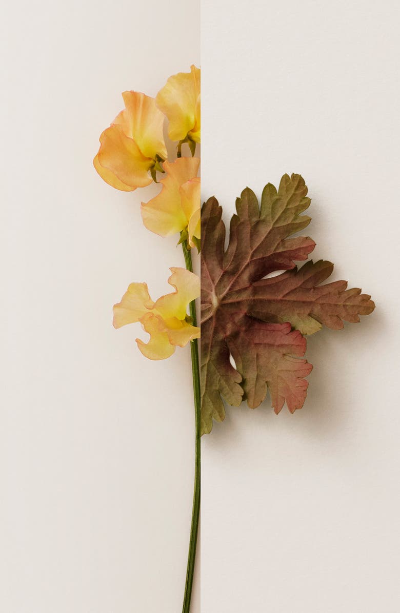 Burberry My Burberry Eau de Parfum, Alternate, color, 