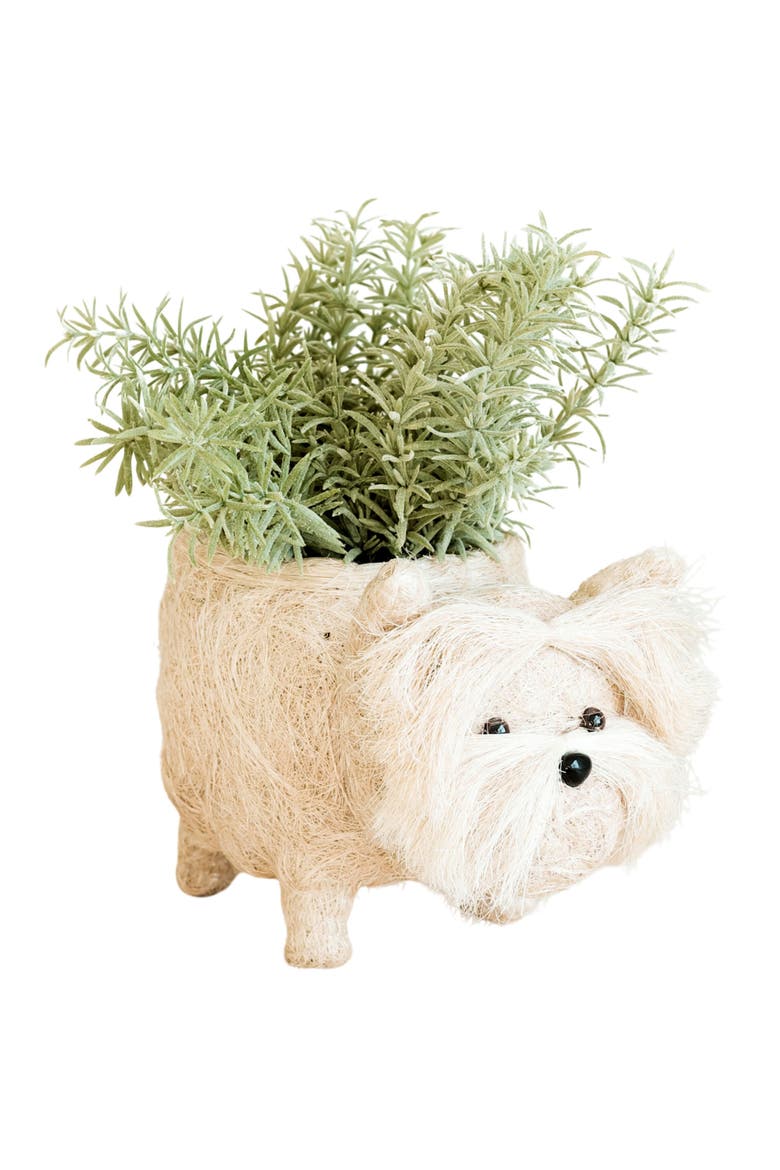 Westie Handwoven Planter, Main, color, WHITE