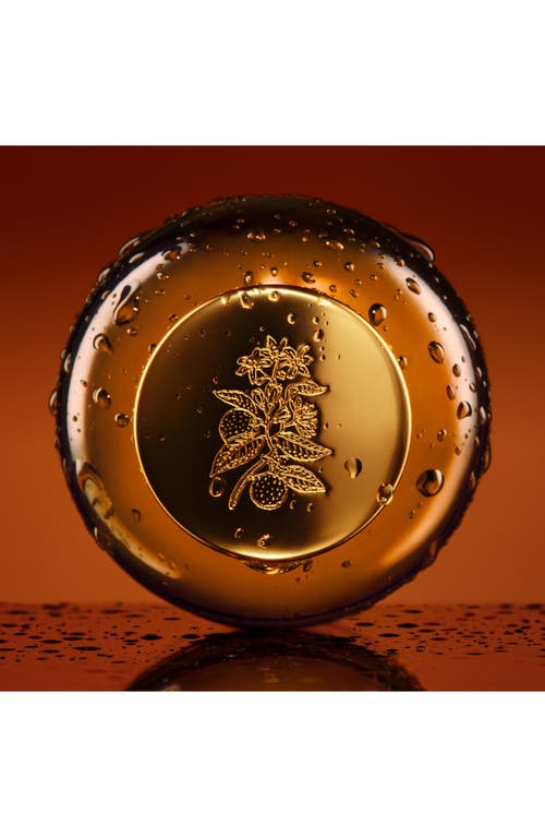 Gucci The Alchemist's Garden Fiori Di Neroli Eau De Parfum In No Color
