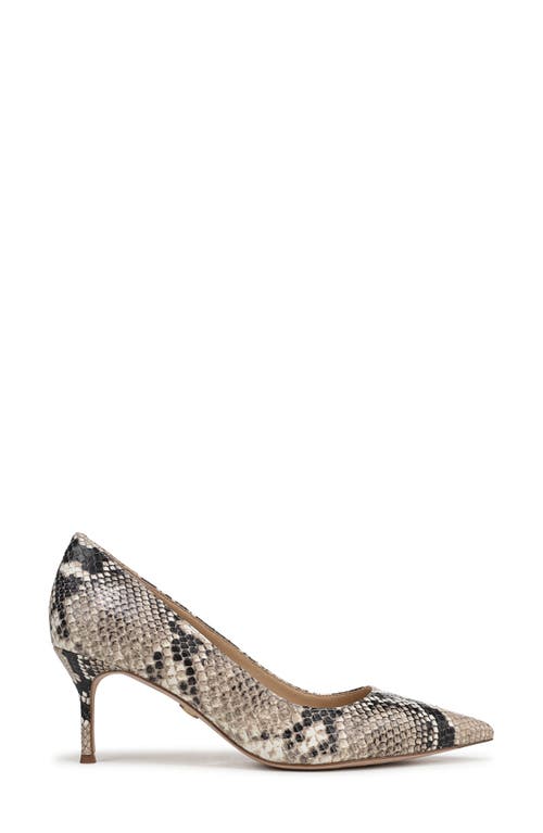 Veronica Beard Rita Pointed Toe Pump In Multi