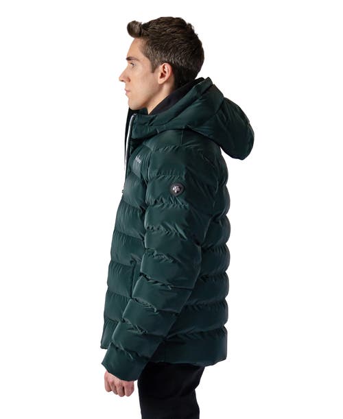 Woodpecker Sparrow Medium Weight Coat In Green
