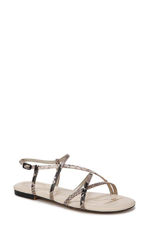 Circus Ny By Sam Edelman Rebecca Strappy Flat Sandals In Mocha Multi