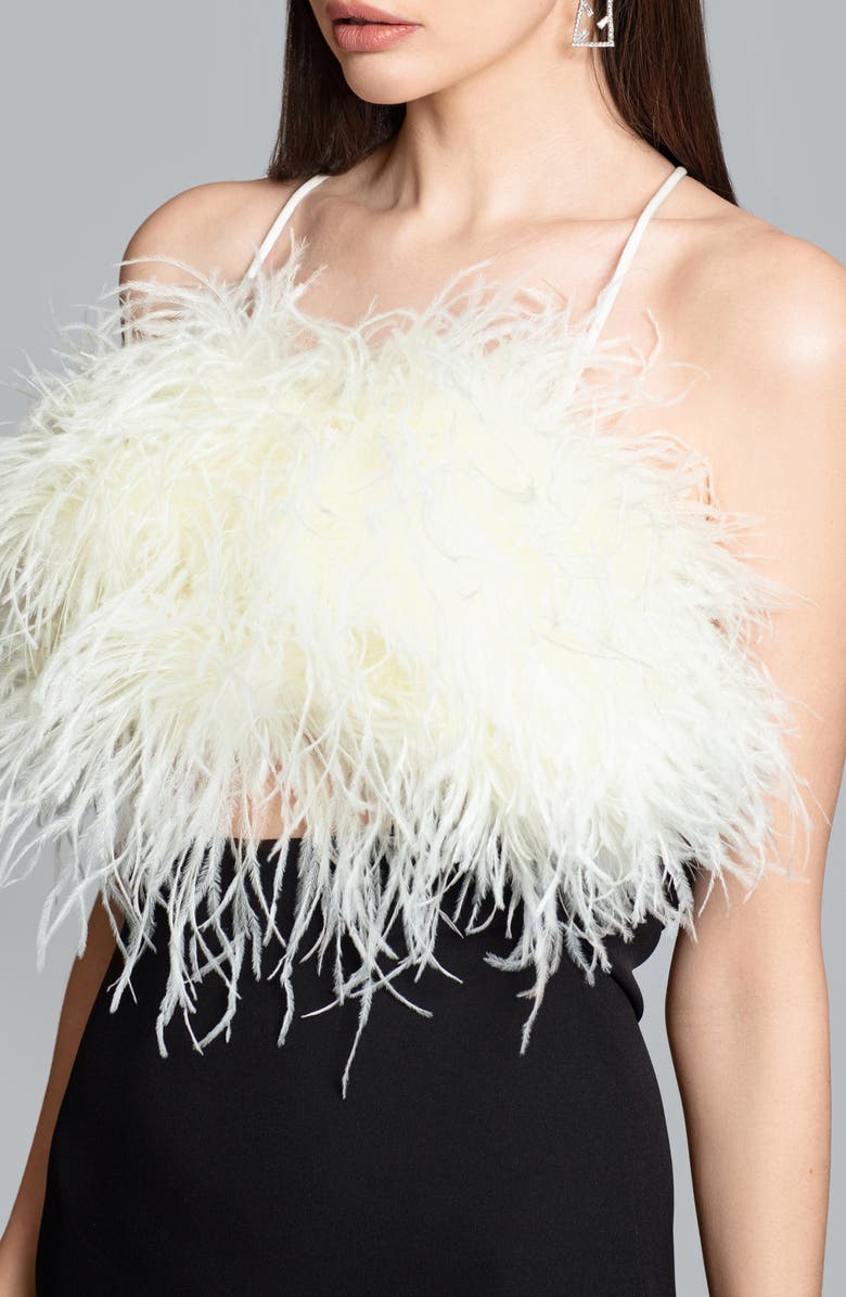 Ghrail Greenwich Feather Bodice Crepe Gown, Alternate, color, Ivory/ Black