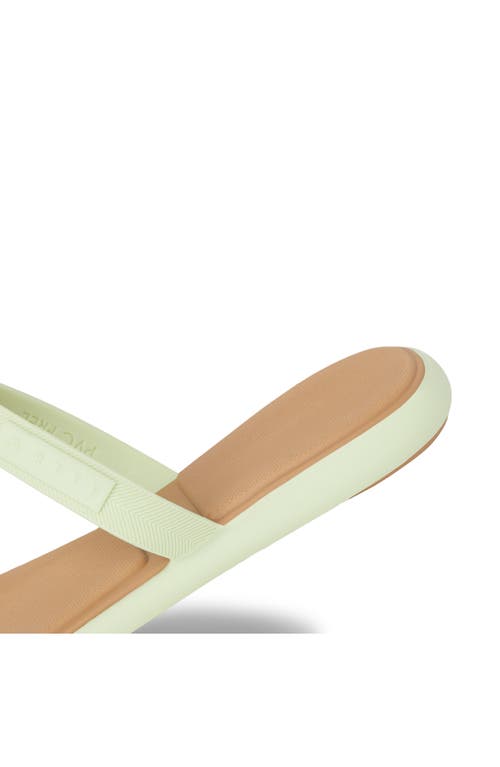 Reef Water Willow Marina Slide Sandal In Green