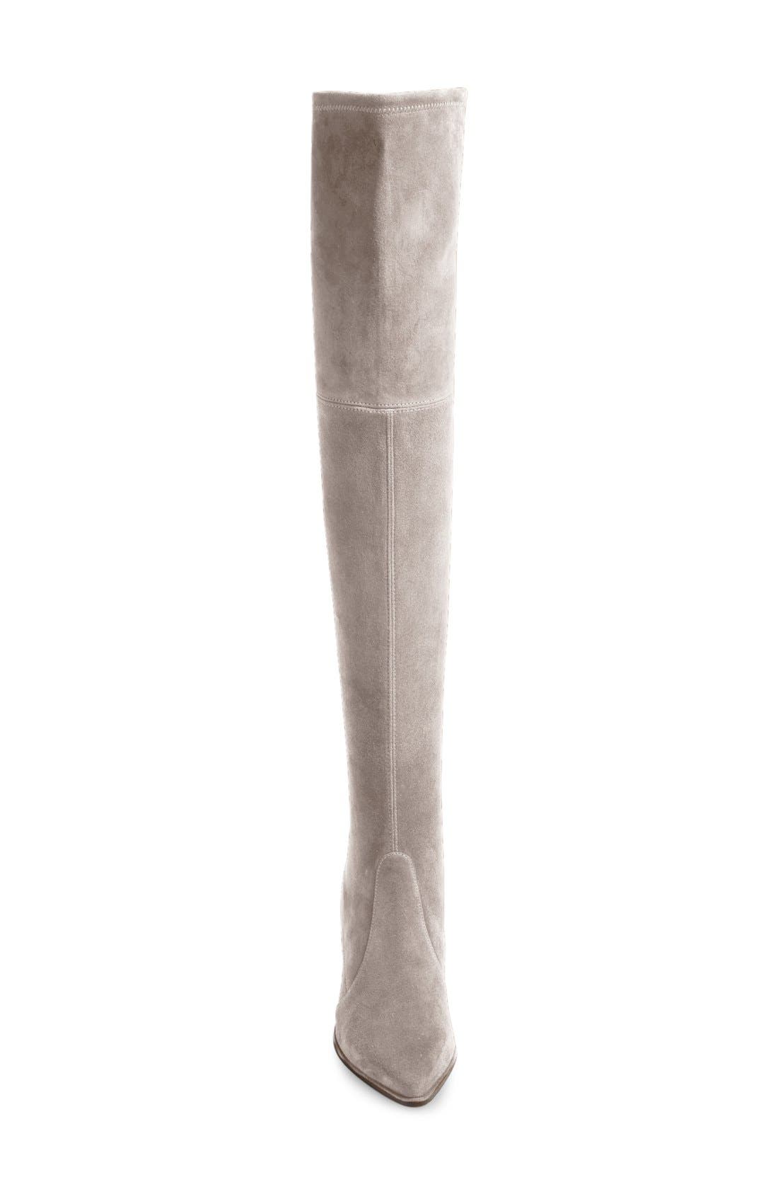 Thighland Over the Knee Boot, Alternate, color, TOPO SUEDE