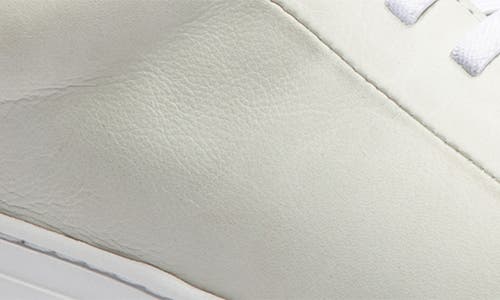 Gernie Elastic Lace Leather Sneaker In White