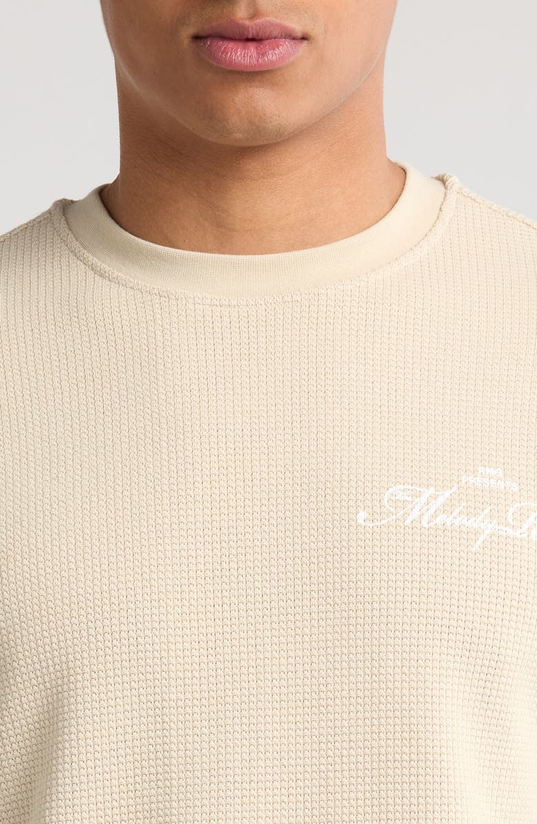 PacSun Melody Waffle Textured T-Shirt, Alternate, color,