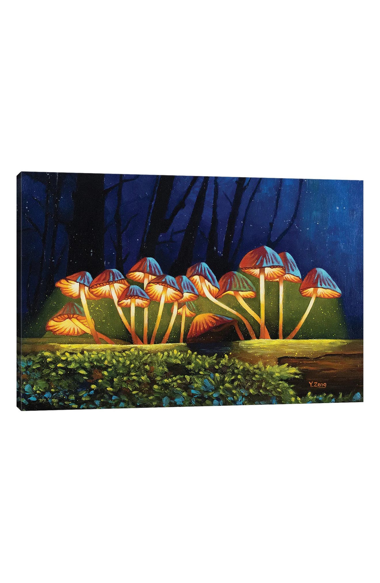 iCanvas Nightlights Glowing Mushrooms by Yue Zeng Canvas Wall Art