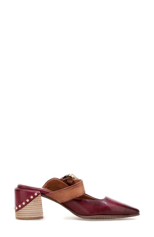 AS98 A.S.98 VERTIE MULE