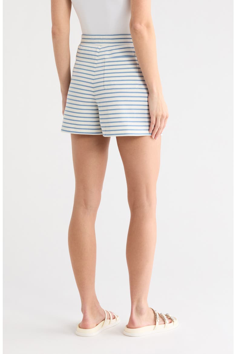 Brighton Stripe Shorts, Alternate, color, DOVE LAKE MIST