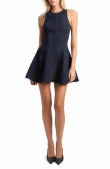 Palmer Denim Fit & Flare Minidress