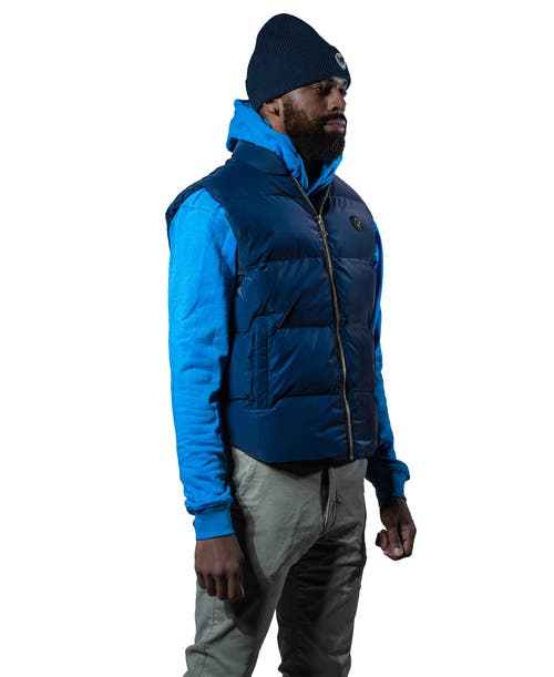 Woodpecker Unisex Vest In Blue