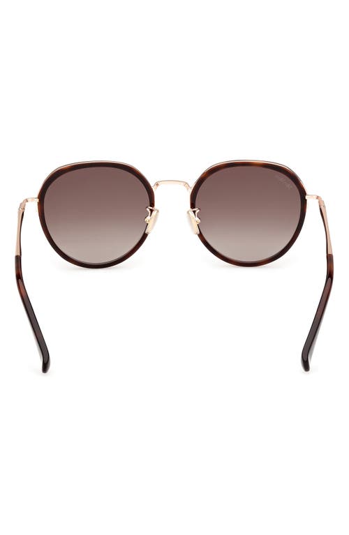 Max Mara 54mm Round Sunglasses In Burgundy