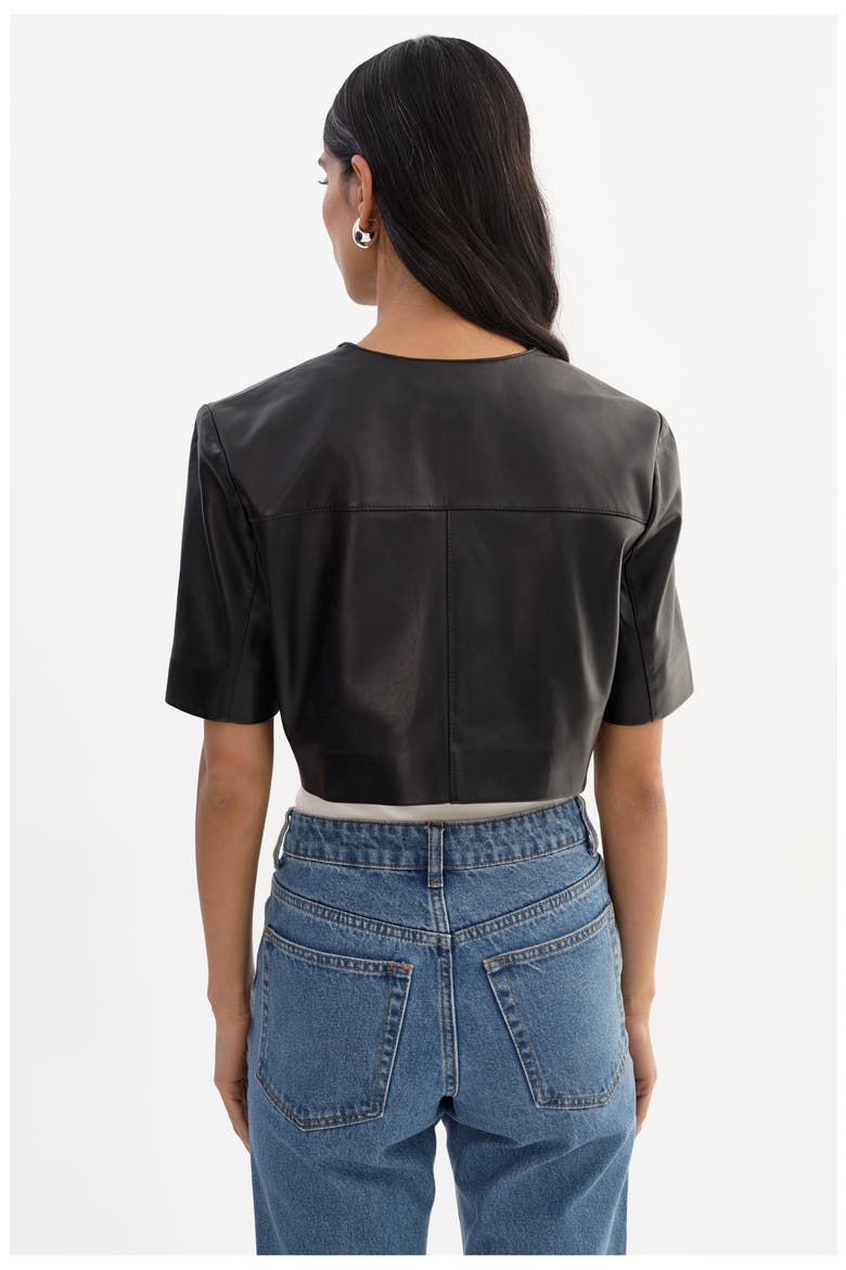Aviana | Collarless Leather Jacket, Alternate, color, Black