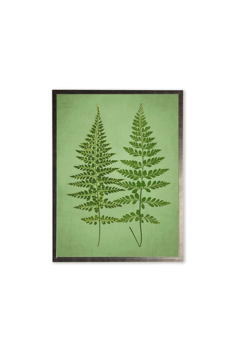 Ferns in Silver Frame, Main, color, Multi
