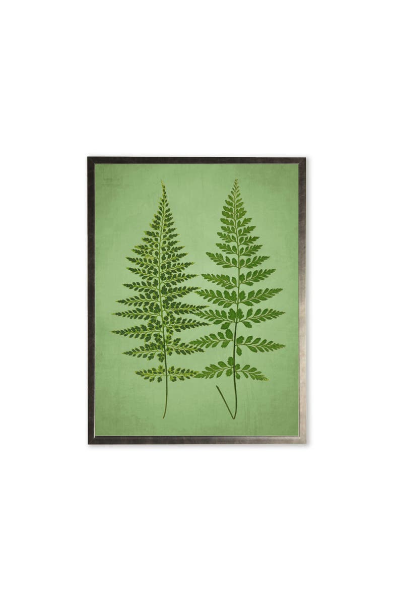 Antique Curiosities Ferns in Silver Frame, Main, color, Multi