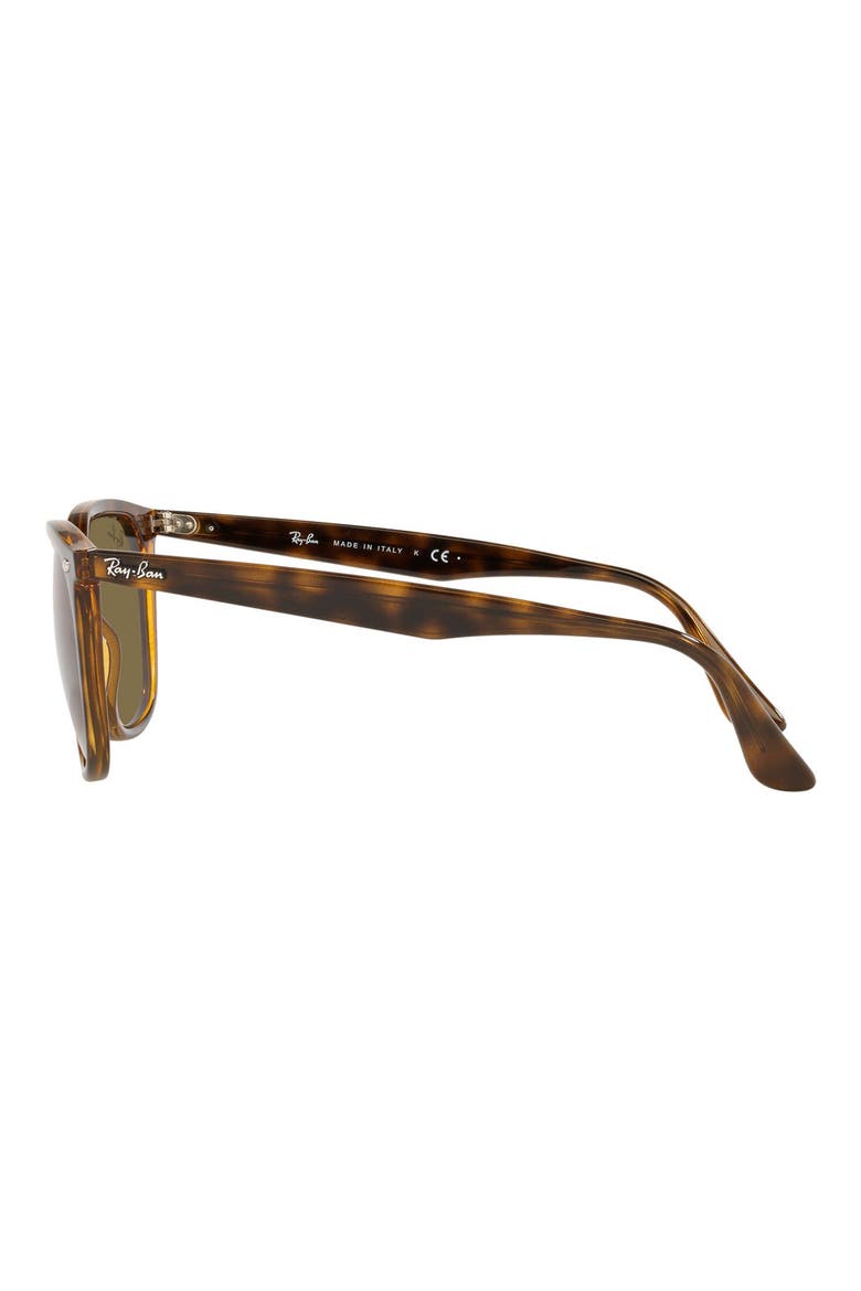 55mm Round Sunglasses, Alternate, color, HAVANA/ DARK BROWN