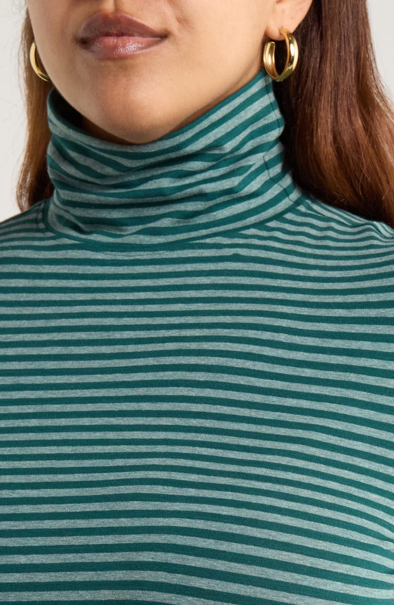 Seasalt Cornwall Landing Turtleneck Stretch Organic Cotton Top, Alternate, color, Pellitras Verte