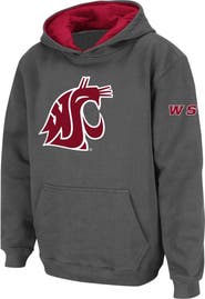 STADIUM ATHLETIC Youth Stadium Athletic Charcoal Washington State Cougars Big Logo Pullover Hoodie