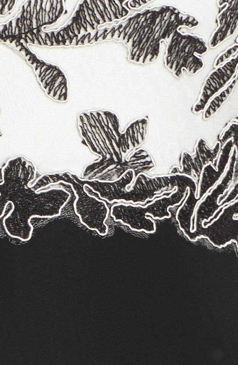 Tadashi Shoji Embroidered Lace Gown, Alternate, color, 