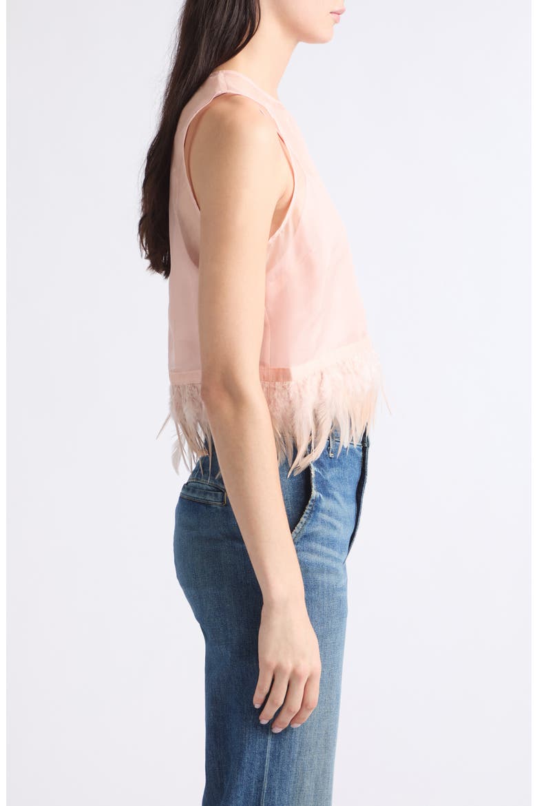Avi Sleeveless Feather Trim Silk Top, Alternate, color, SANDROSE