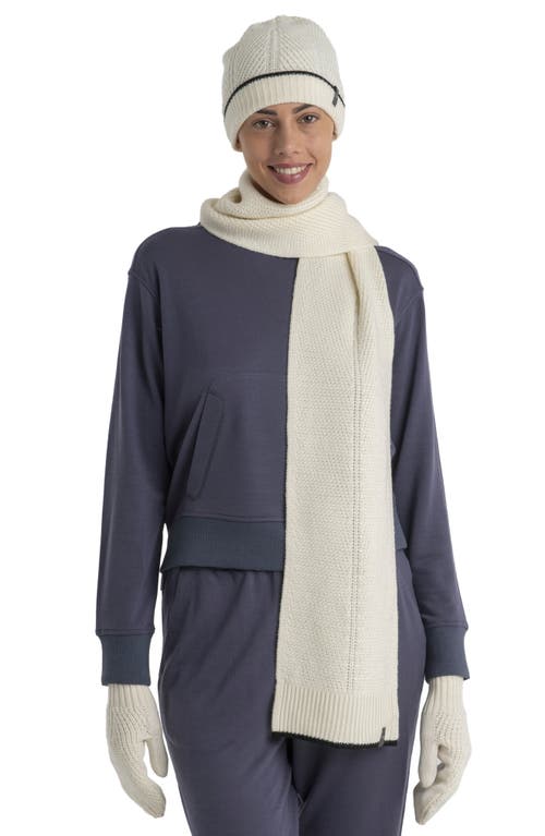 Icebreaker Crush Rib Trim Hoodie In Graphite