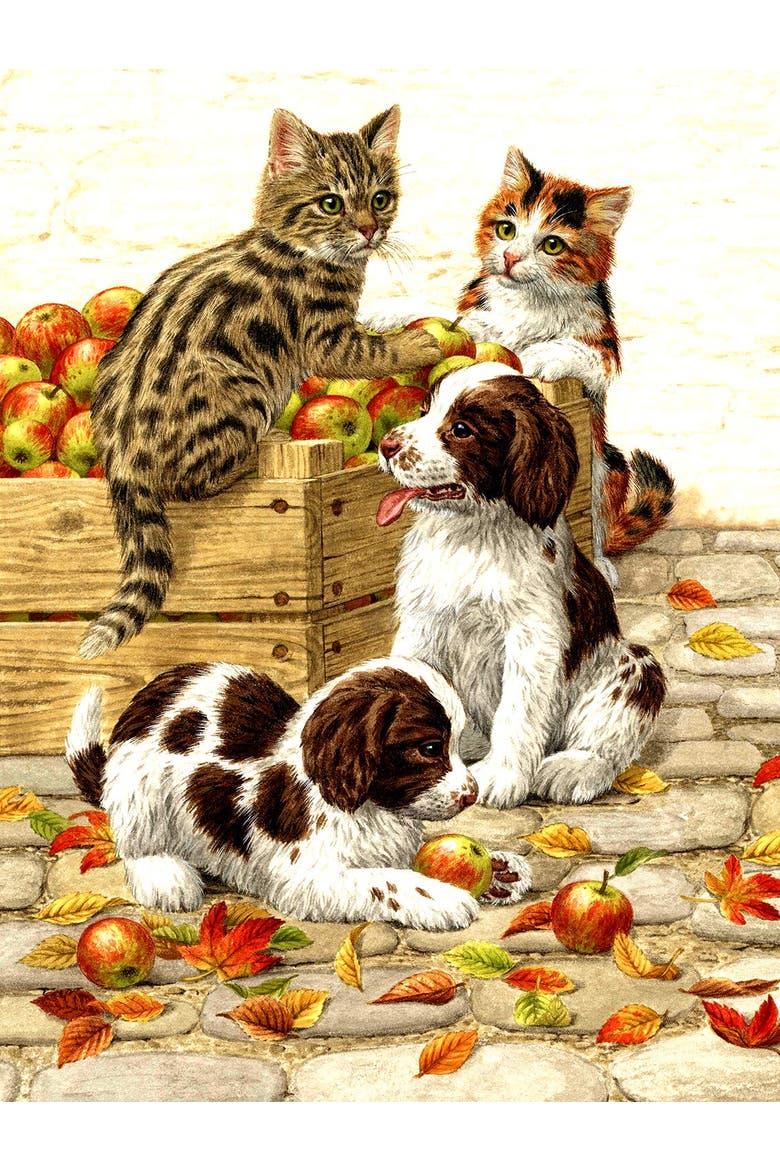 Box of Apples 500 piece Jigsaw Puzzle for Adults, Alternate, color, Multicolor