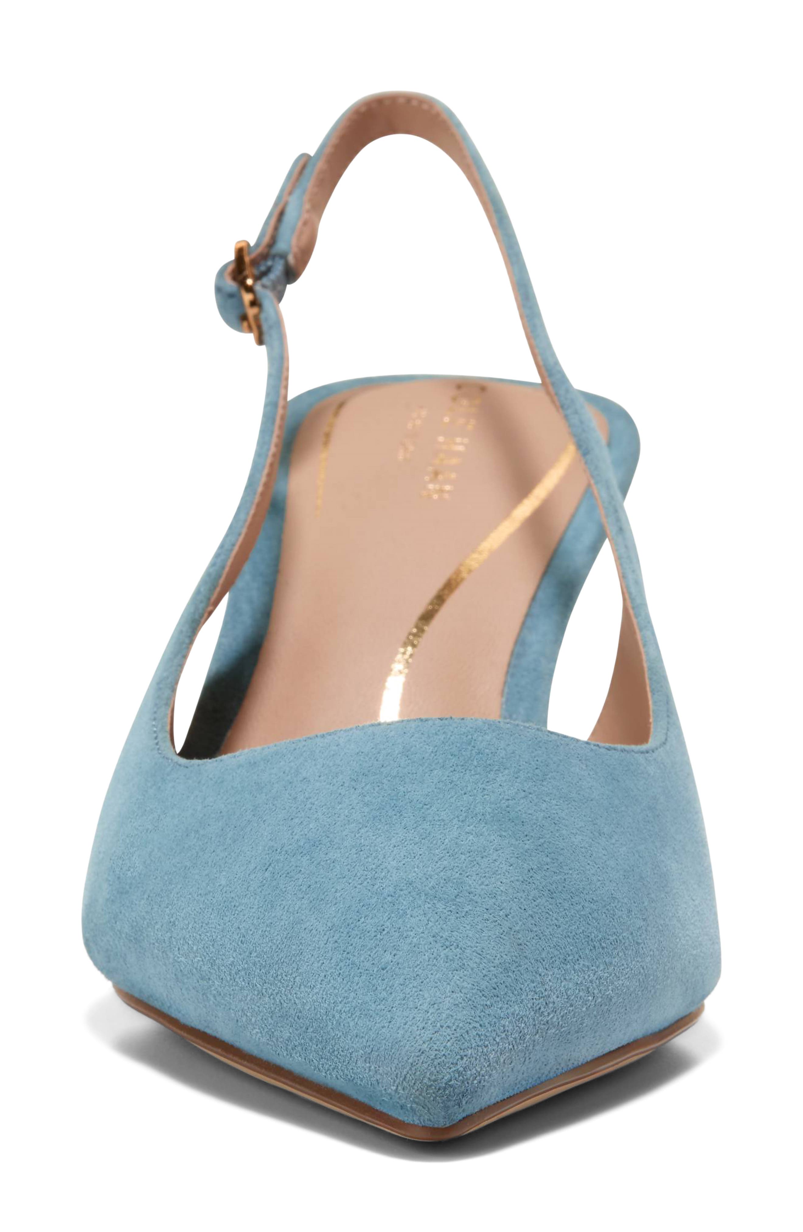 Hansell Slingback Pointed Toe Pump, Alternate, color, PROVINCIAL BLUE SUEDE