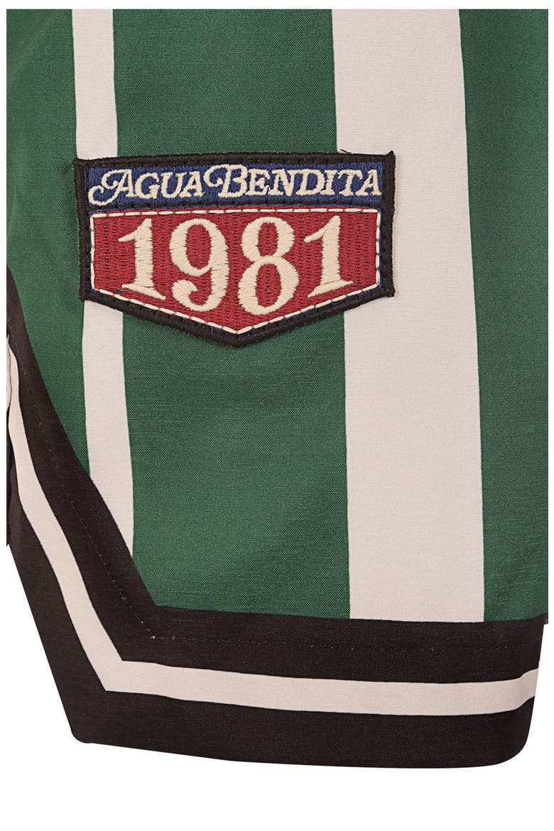 Dan Varsity Swim Trunks, Alternate, color, MULTICOLOR