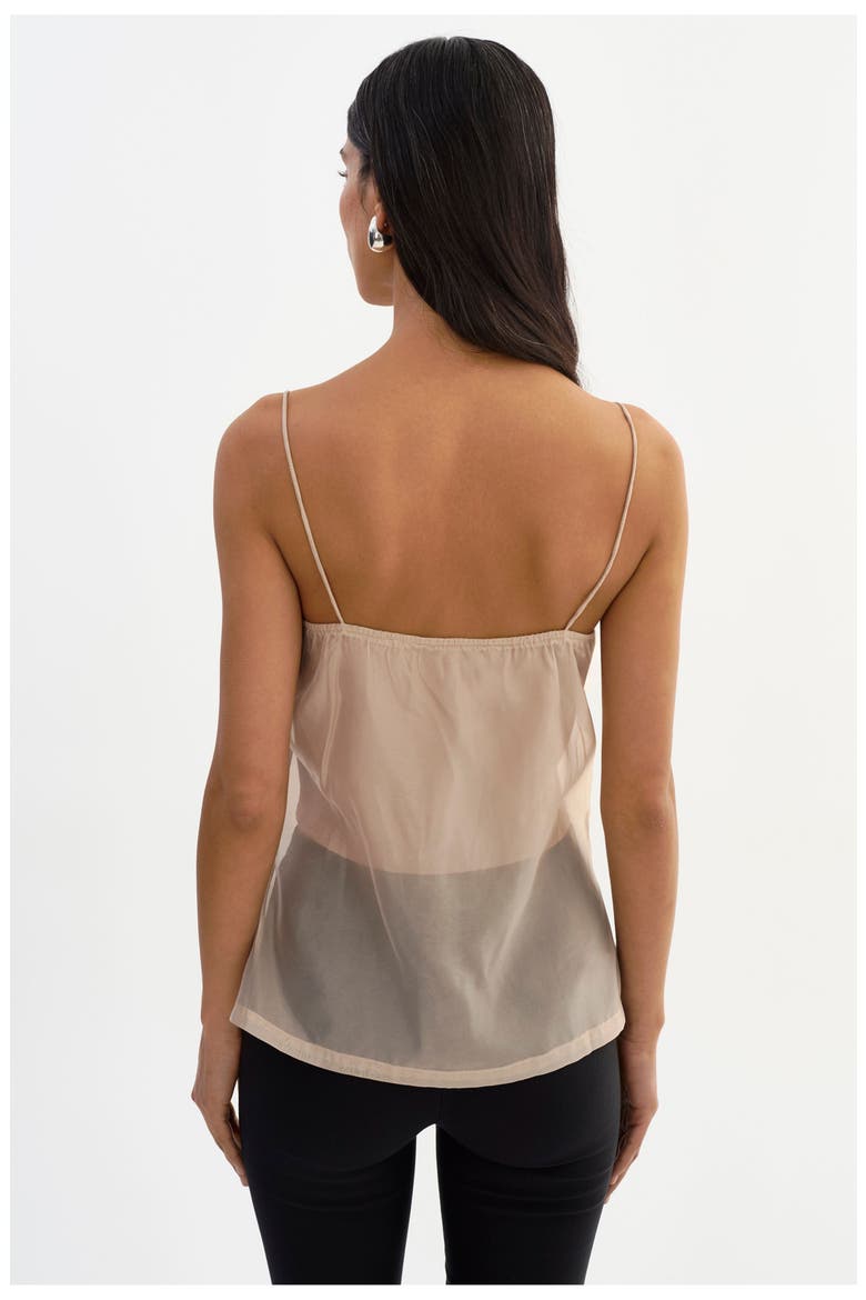 Delphine | Sheer Top, Alternate, color, Beige
