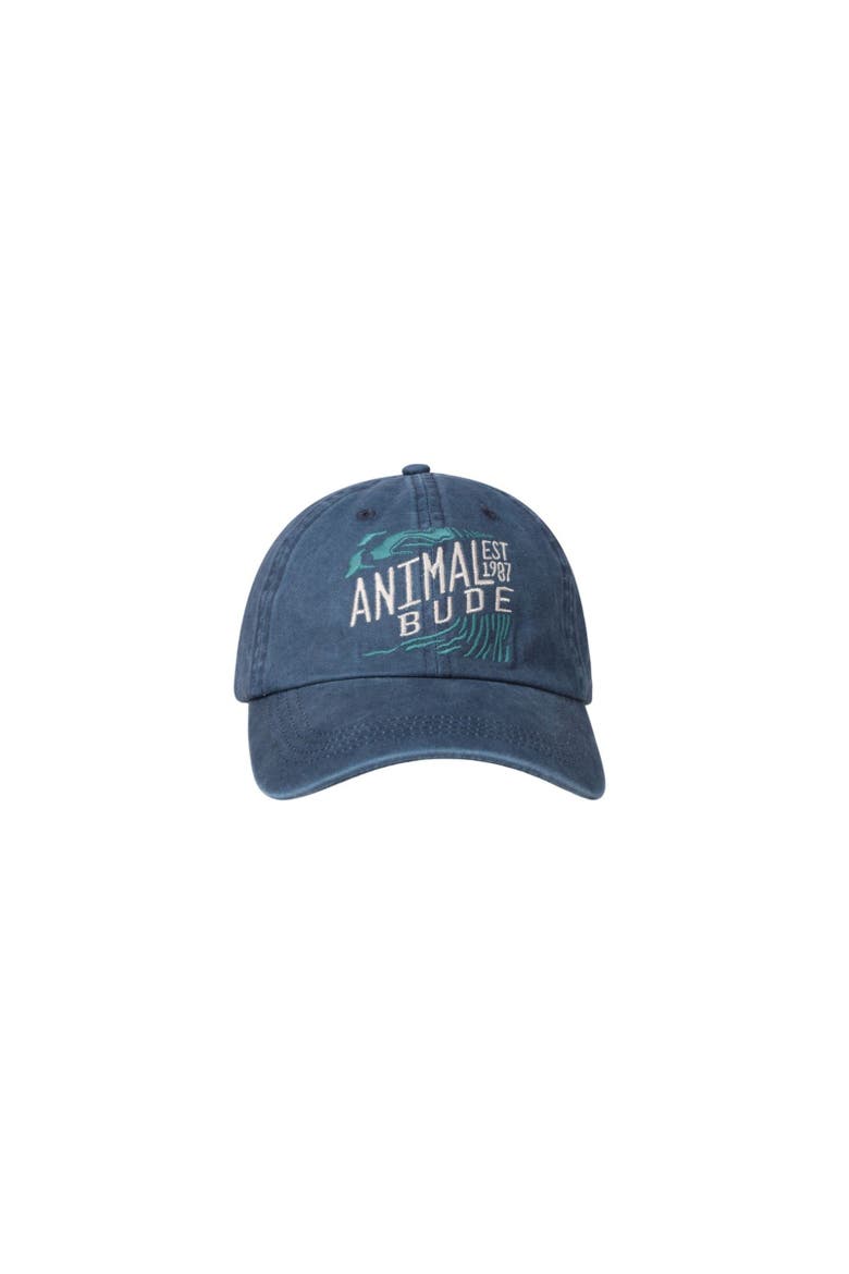 Bude Established Baseball Cap, Main, color, Navy
