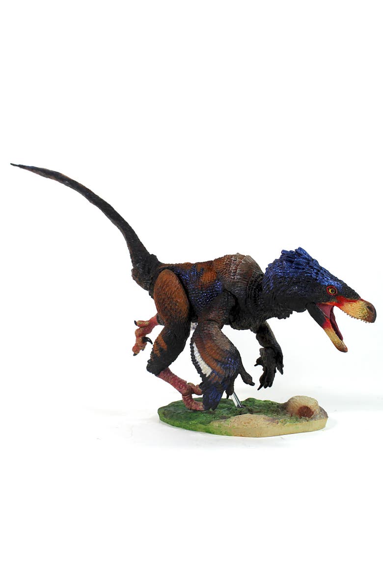 Adasaurus Mongoliensis, Main, color, Multicolored