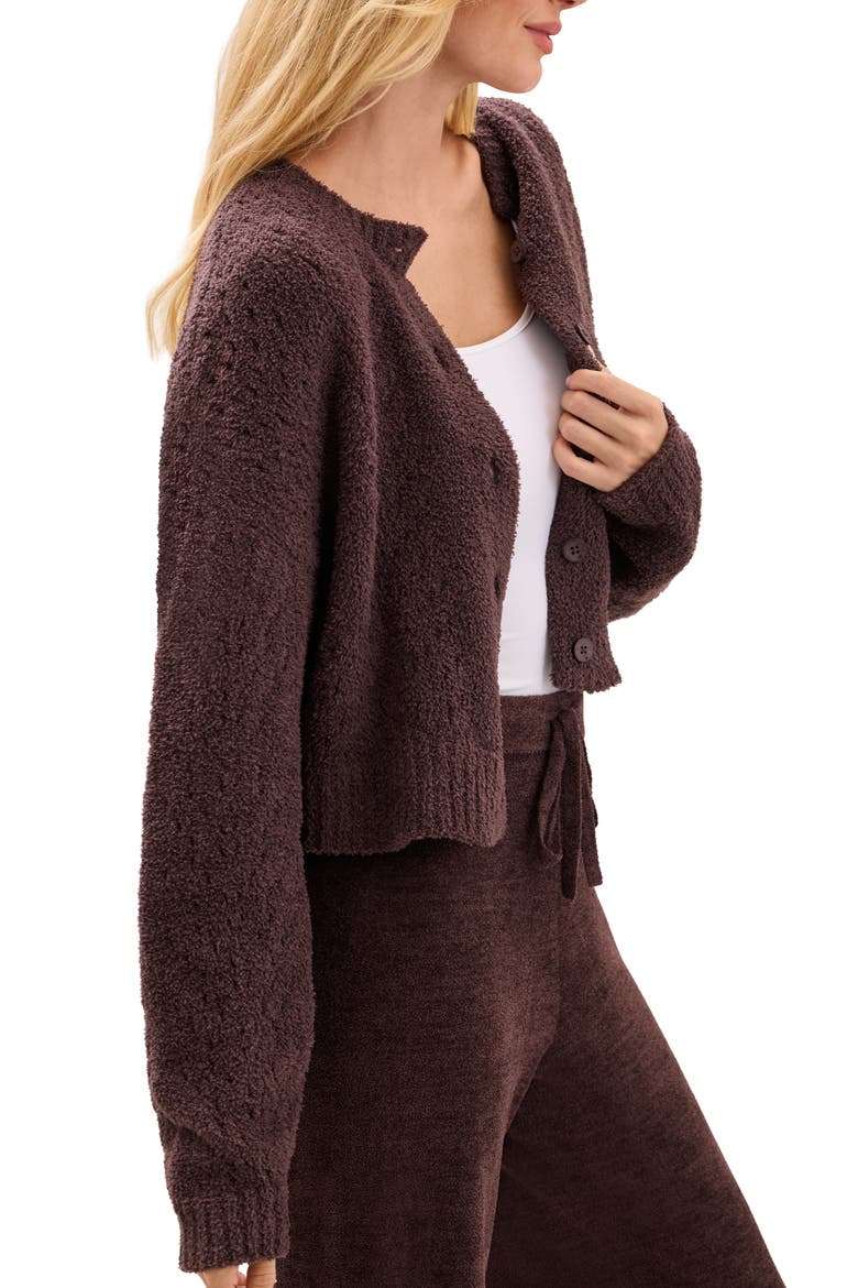 Pointelle Cropped Cardigan, Alternate, color, UMBER