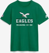 Nike Men's Nike Kelly Green Philadelphia Eagles Sideline Alternate Final Sprint Dri-FIT T-Shirt